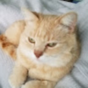 Meet your Posher, Debra